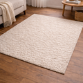 Nettoyage tapis moyen